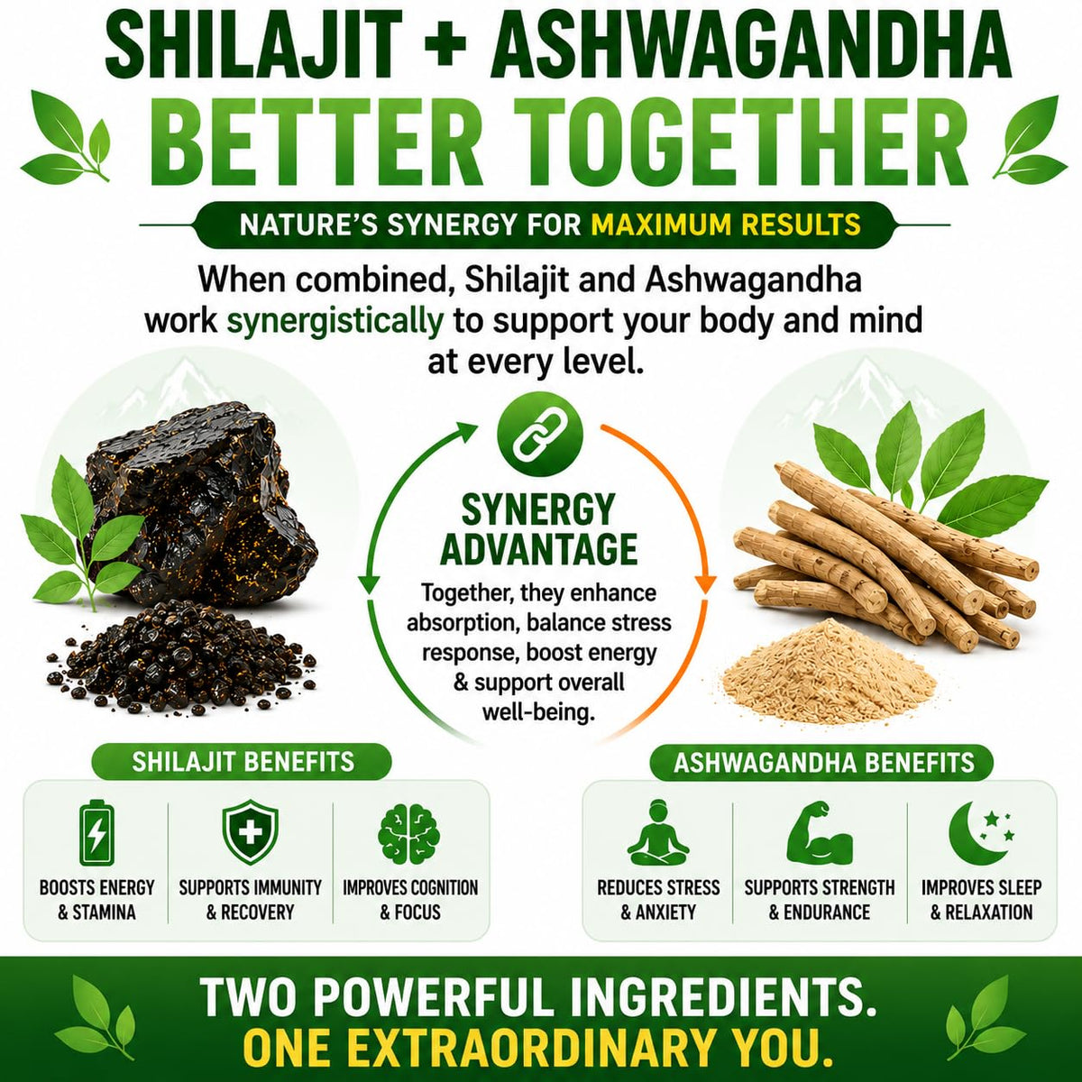 Capsules de Shilajit HCL dans une main