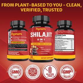 Capsules de Shilajit Himalayen Papnami dans une main