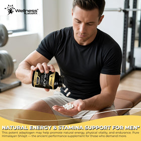 Capsules de Shilajit Himalayen WELLNESS LABSRX, prise quotidienne