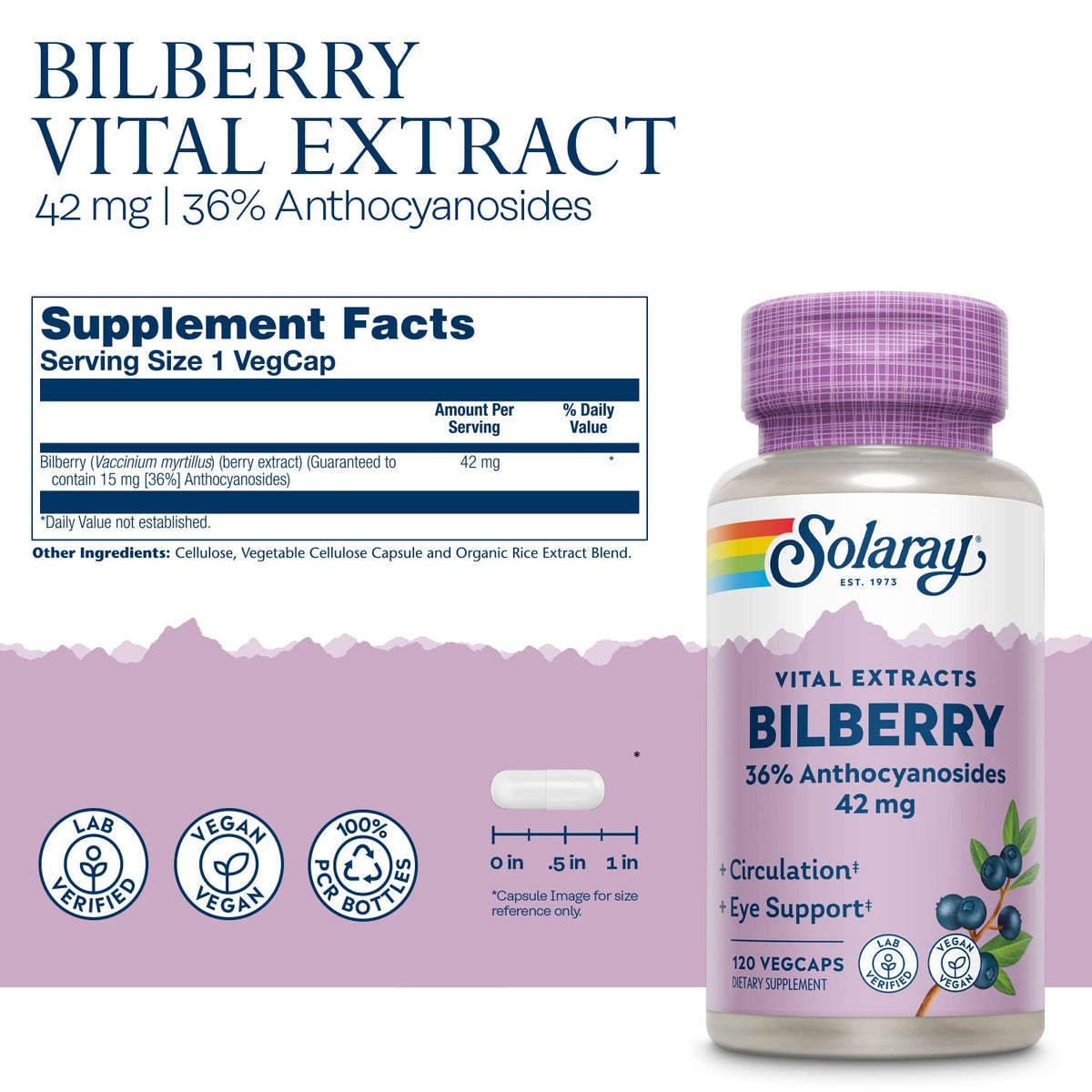 Capsules de SOLARAY Extrait de Baies de Myrtille sur fond blanc