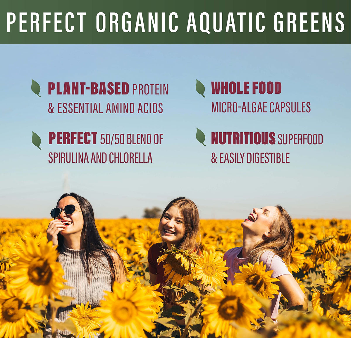 Capsules de Spiruline et Chlorelle bio dans le flacon de Perfect Supplements
