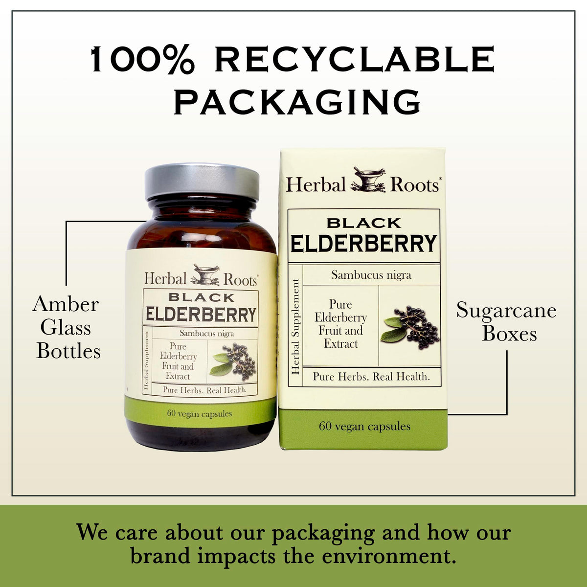 Capsules de sureau noir bio Herbal Roots en gros plan