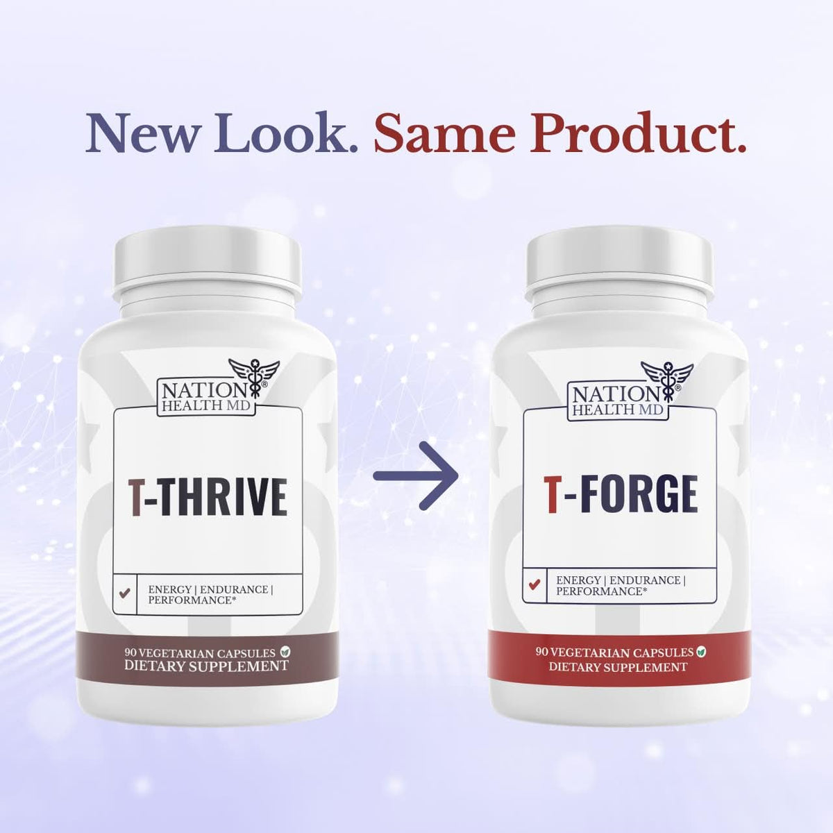 Capsules de T-Forge NATION HEALTH MD dans une main