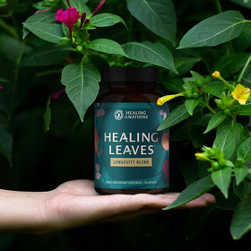 Capsules de thé Healing Leaves avec des feuilles de fruits en arrière-plan