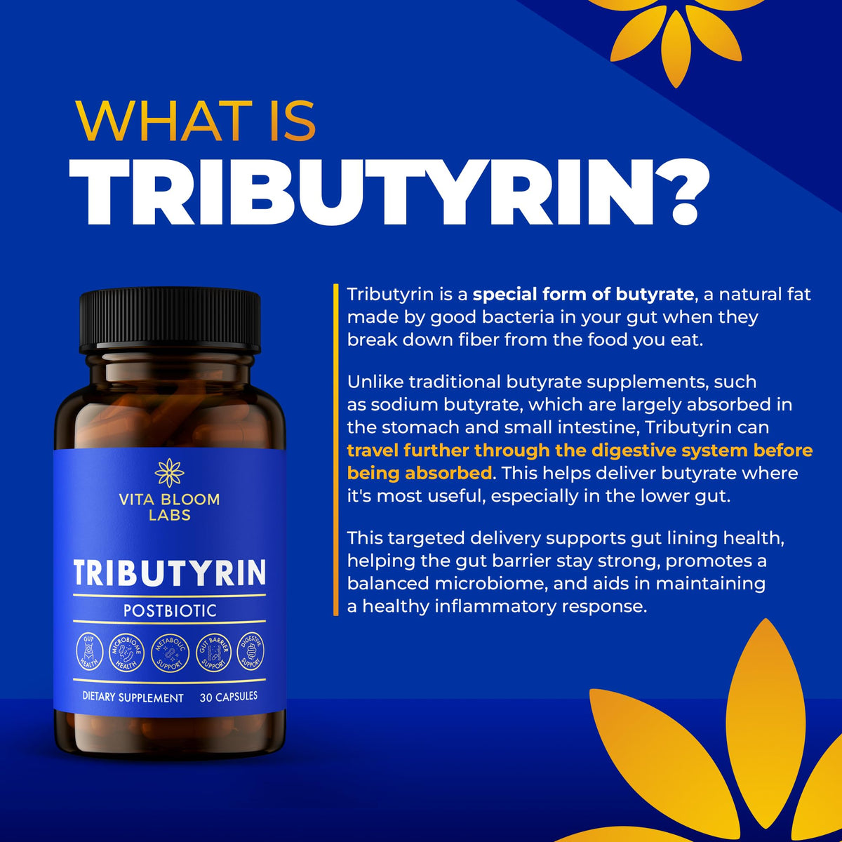 Capsules de Tributyrin de Vita Bloom Labs sur une surface blanche