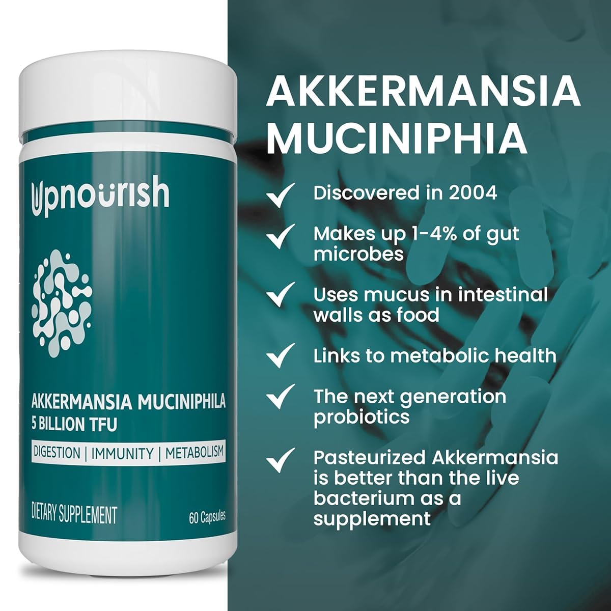 Capsules de UpNourish Probiotiques Akkermansia sur fond blanc