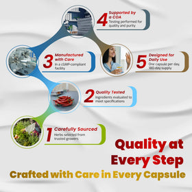 Capsules de VEGATOT Complément Alimentaire Berbérine sur une table