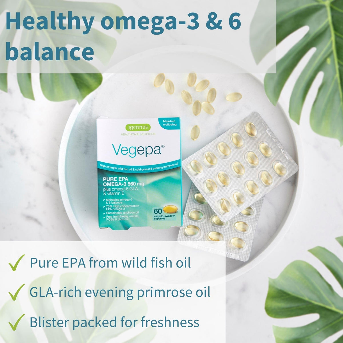 Capsules de Vegepa d'Igennus montrant leur petite taille