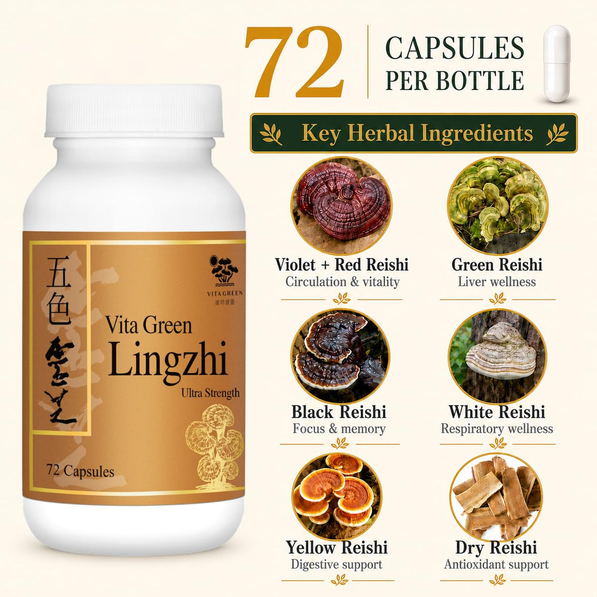 Capsules de Vita Green Champignon Lingzhi sur une surface blanche