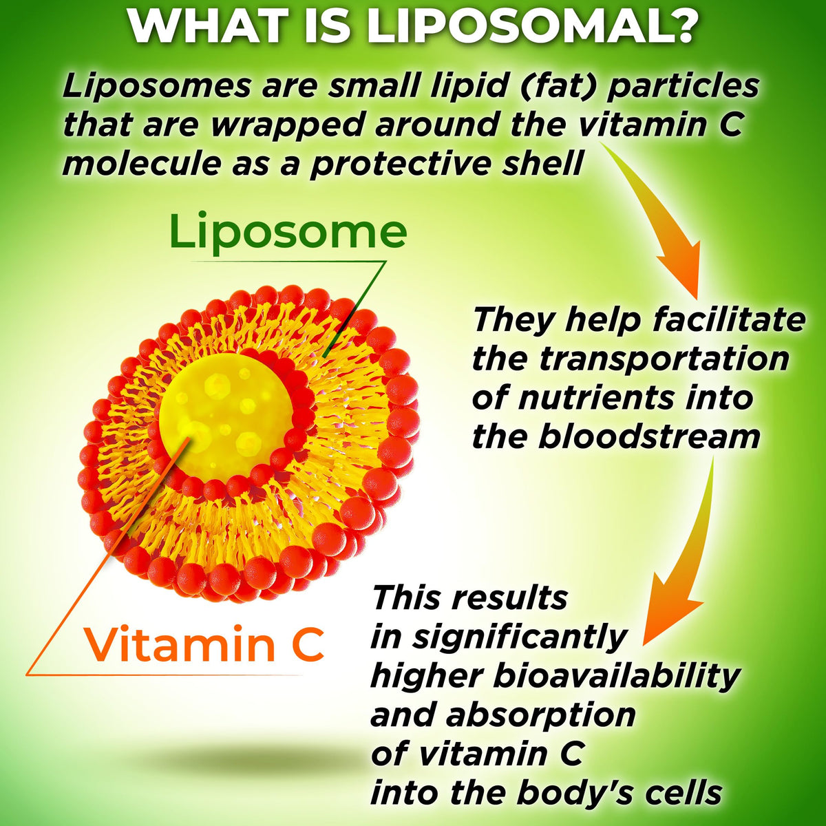 Capsules de vitamine C avec acerola bio SUPPLEMENTS STUDIO