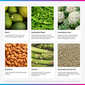 Capsules de vitamines B Livingood Daily dans une main