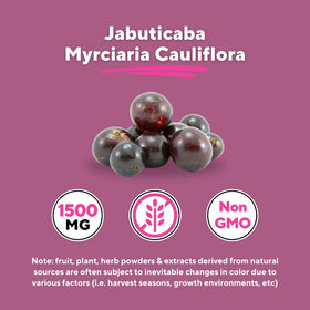 Capsules de Vitapia sur une table, présentation du produit