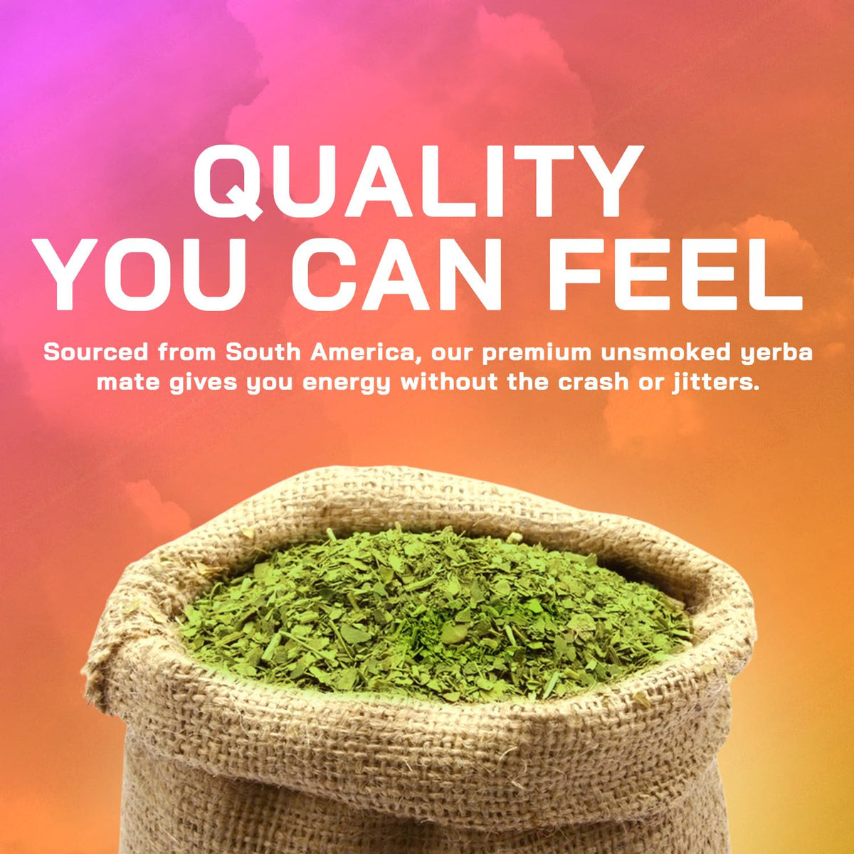 Capsules de yerba mate Brainista avec un verre d'eau
