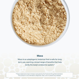 Capsules de Youtheory Maca dans une main