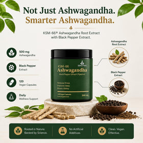 Capsules de Zenutral KSM-66 Ashwagandha sur un fond blanc