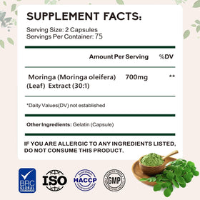 Capsules de Zhibenon Extrait de Moringa dans un flacon