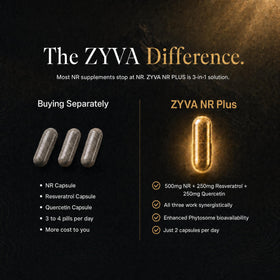 Capsules de ZYVA NR Plus dans une cuillère