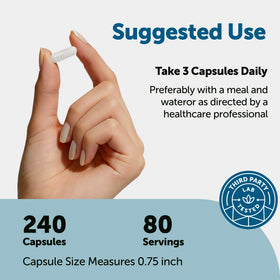 Capsules DHEA Micro Ingredients 100mg sur une surface blanche