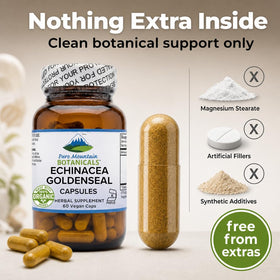 Capsules Echinacea Goldenseal sur une surface en bois