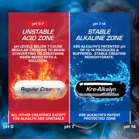 Capsules EFX Sports Kre-Alkalyn dans une main