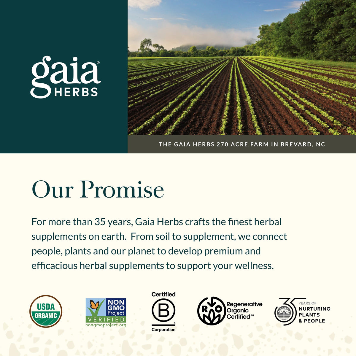 Capsules Gaia Herbs dans une main