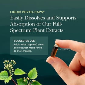 Capsules Gaia Herbs sur un fond naturel