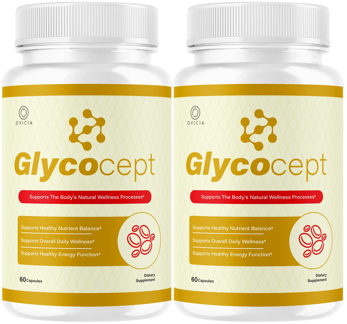 Capsules Glycocept OVICIA, flacon de 120 capsules