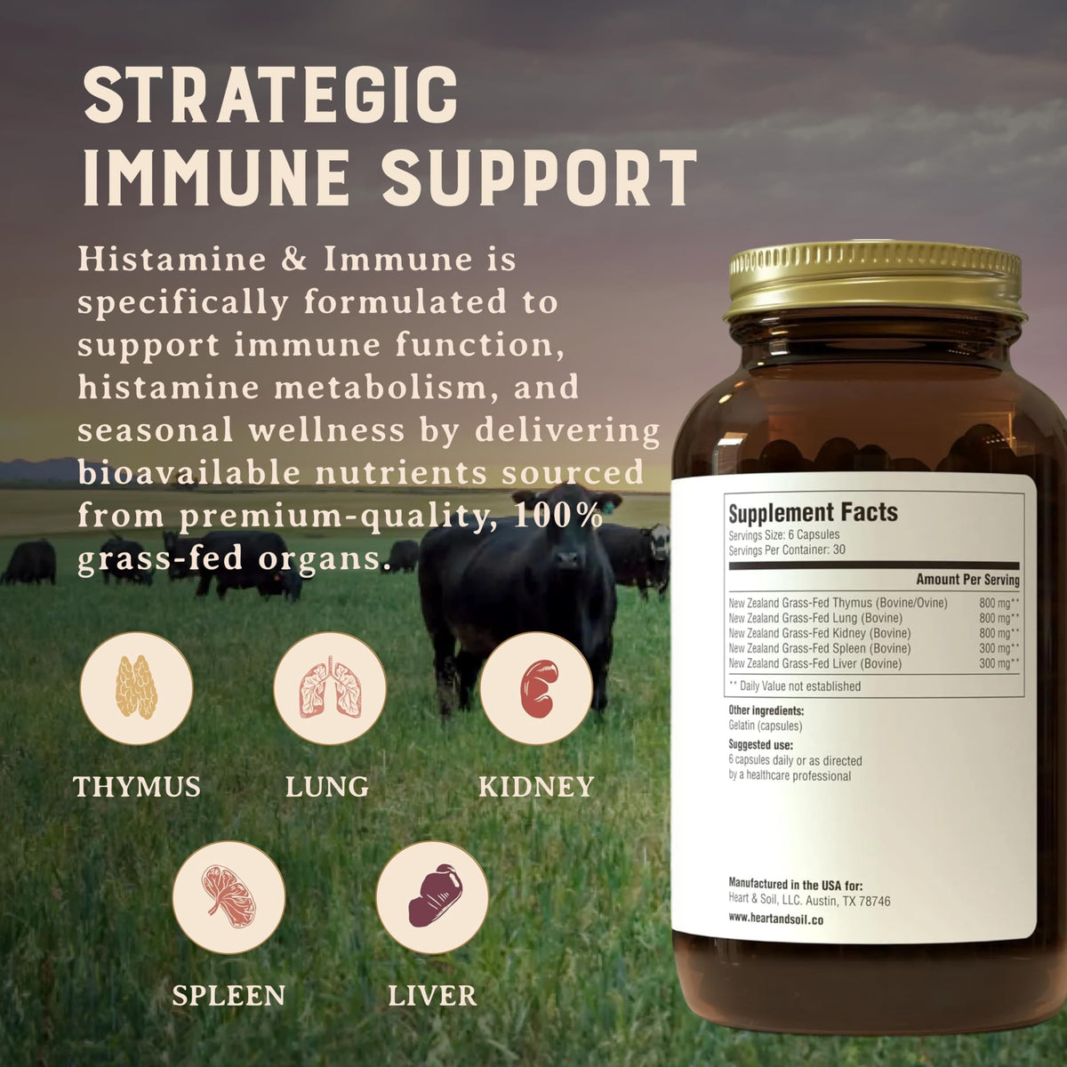 Capsules HEART & SOIL Complément Alimentaire Histamine dans une main