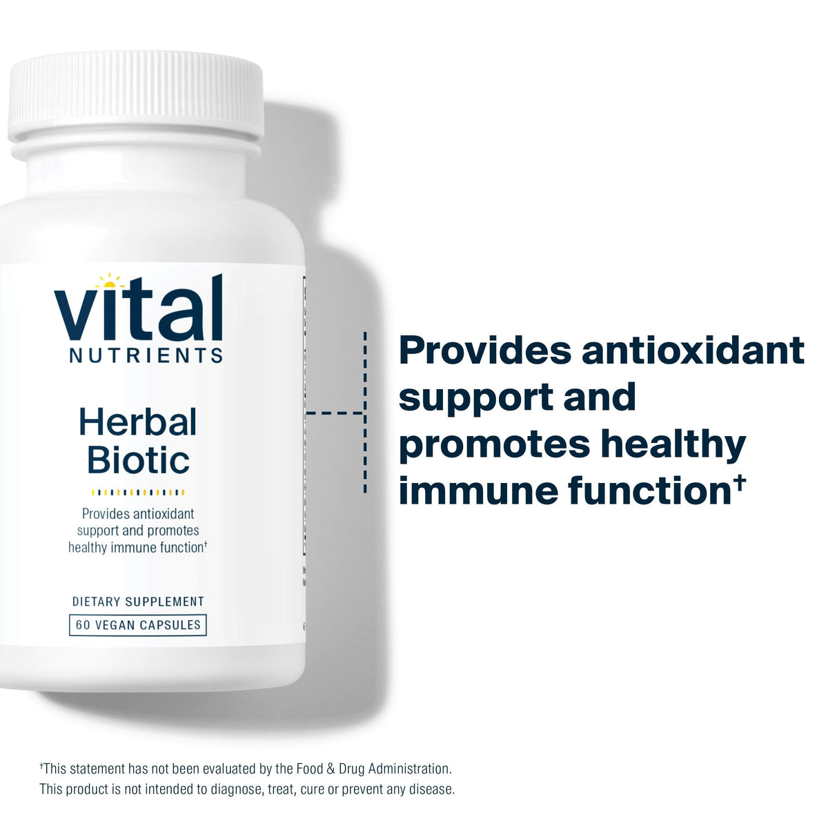Capsules Herbal Biotic de Vital Nutrients dans une main