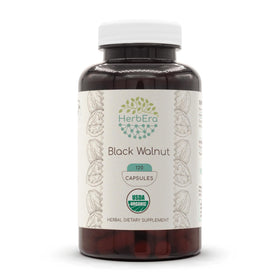 Capsules HerbEra de noix noire 500 mg vue de face