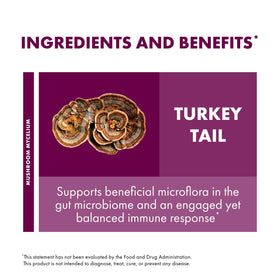 Capsules Host Defense Turkey Tail dans une main