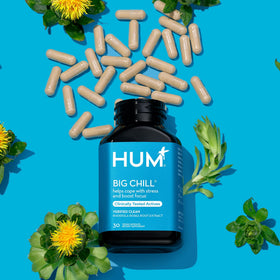 Capsules HUM Big Chill disposées sur une table en bois