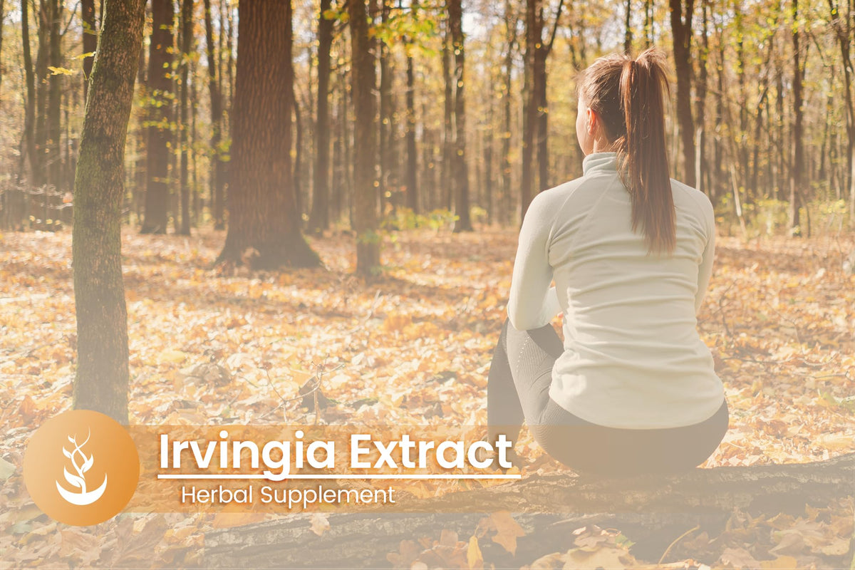 Capsules Irvingia PURE ORIGINAL INGREDIENTS dans un verre