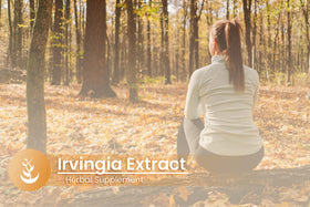 Capsules Irvingia PURE ORIGINAL INGREDIENTS dans un verre