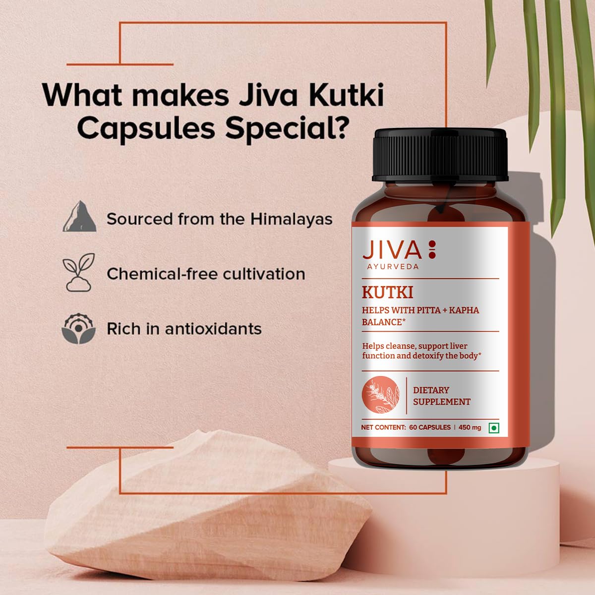 Capsules Jiva Ayurveda Kutki dans la main