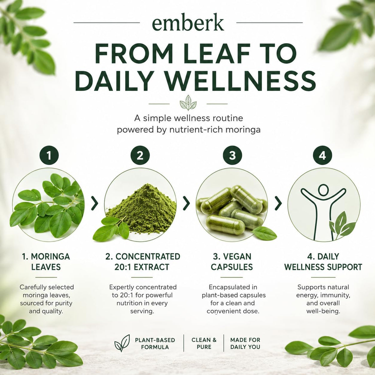 Capsules Moringa sur un fond blanc