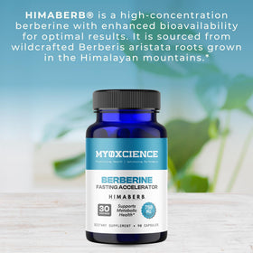 Capsules MYOXCIENCE Berberine sur une surface blanche