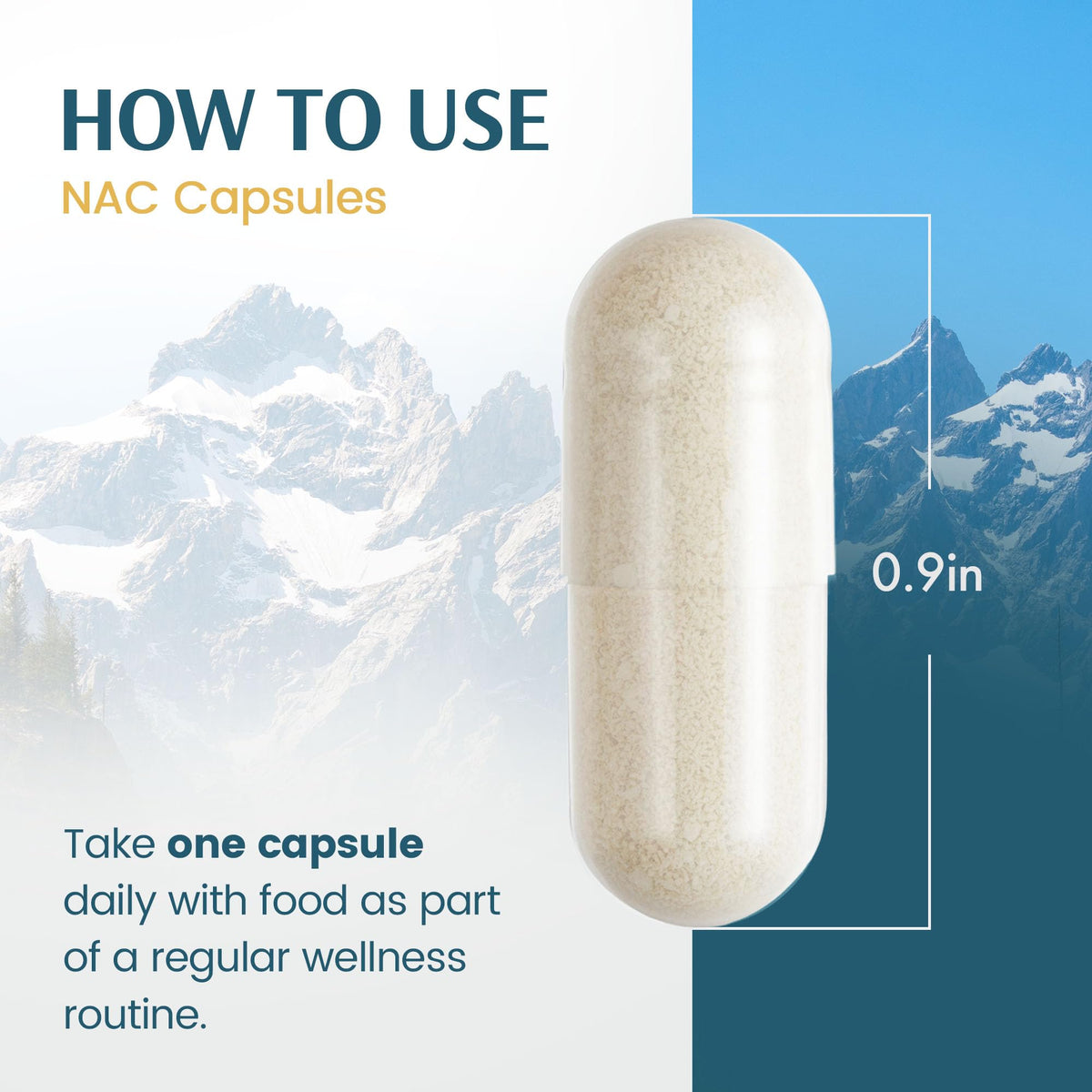 Capsules NAC Vykee Nutrition dans une main