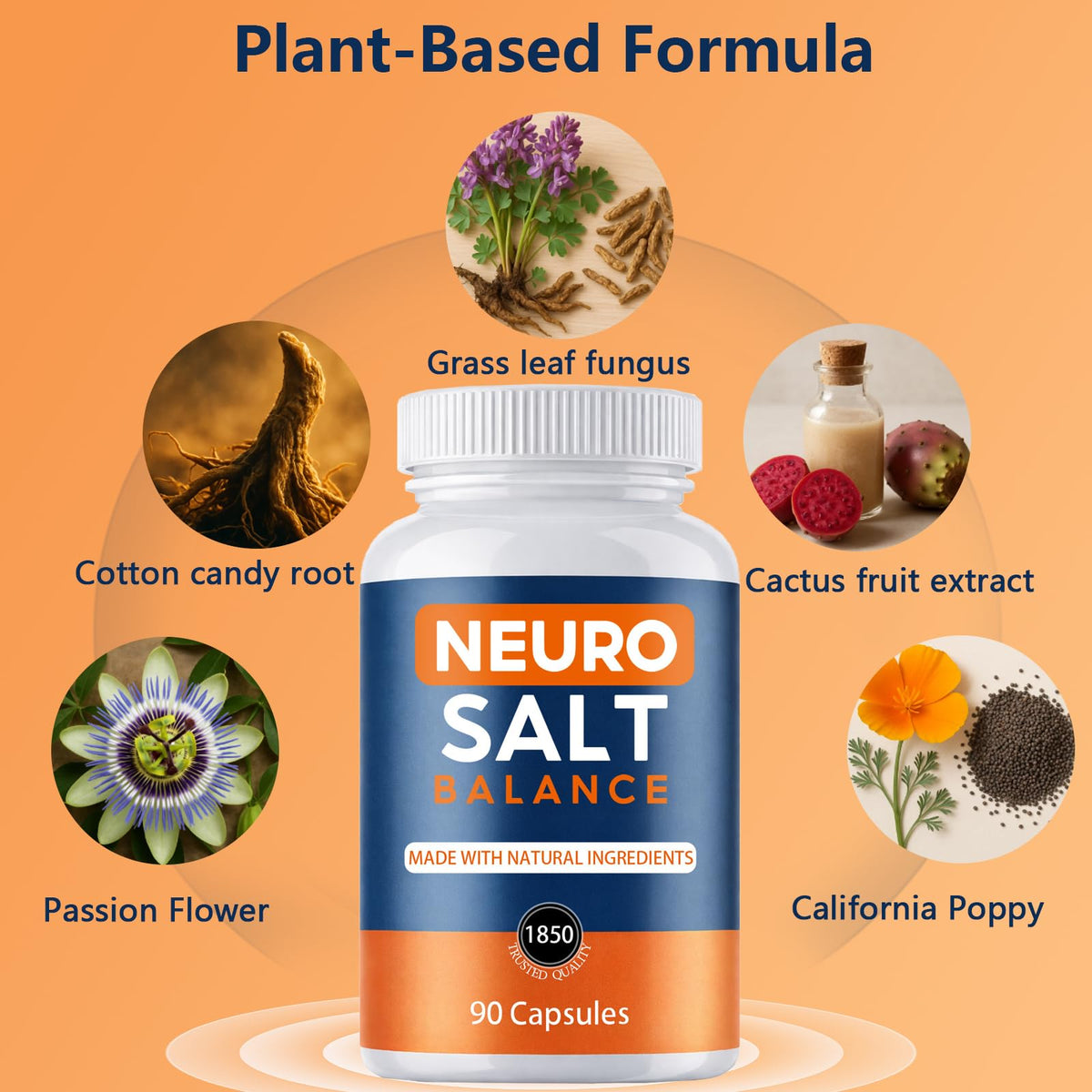 Capsules NEURO SALT dans une main pour montrer la taille