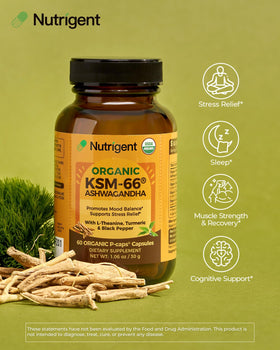 Capsules Nutrigent KSM-66 Ashwagandha sur fond blanc