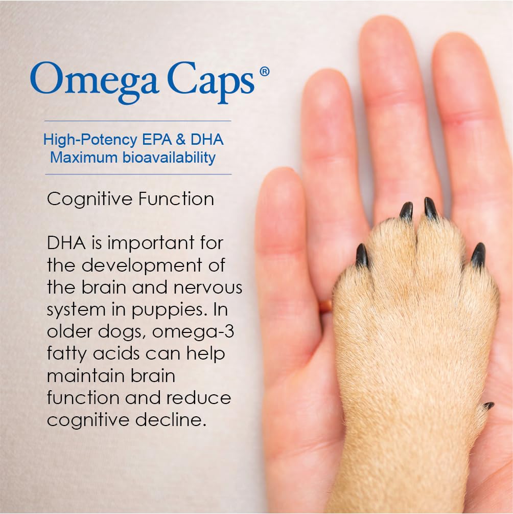 Capsules Omega Caps HP ouvertes montrant le contenu