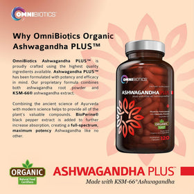 Capsules OmniBiotics Ashwagandha sur fond neutre