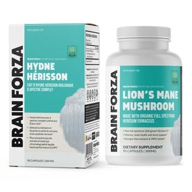 Capsules ouvertes montrant la poudre de Champignon Lion's Mane