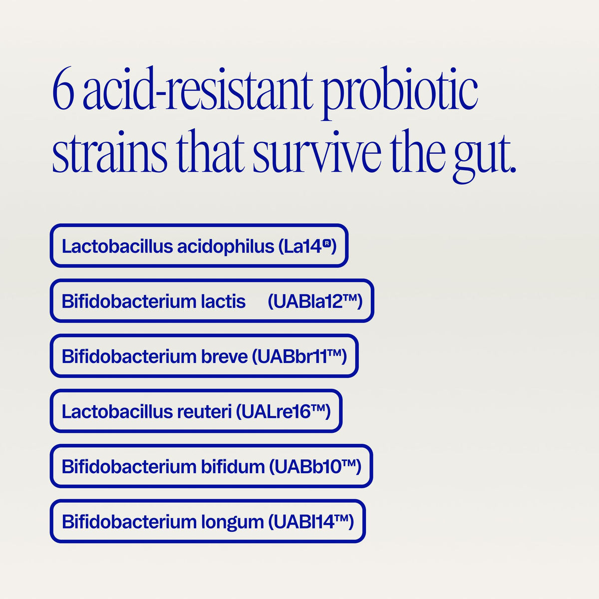 Capsules probiotiques Ora Organic ouvertes montrant leur taille