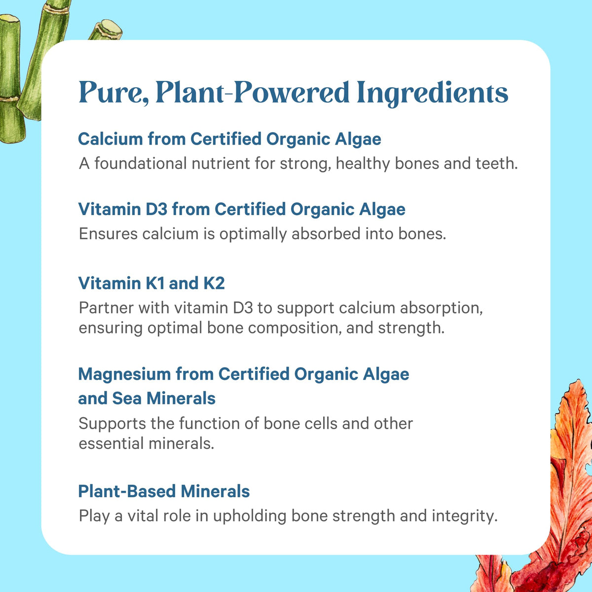 Capsules PURE SYNERGY avec des éléments naturels en arrière-plan