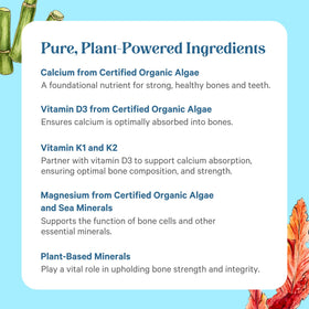Capsules PURE SYNERGY avec des éléments naturels en arrière-plan