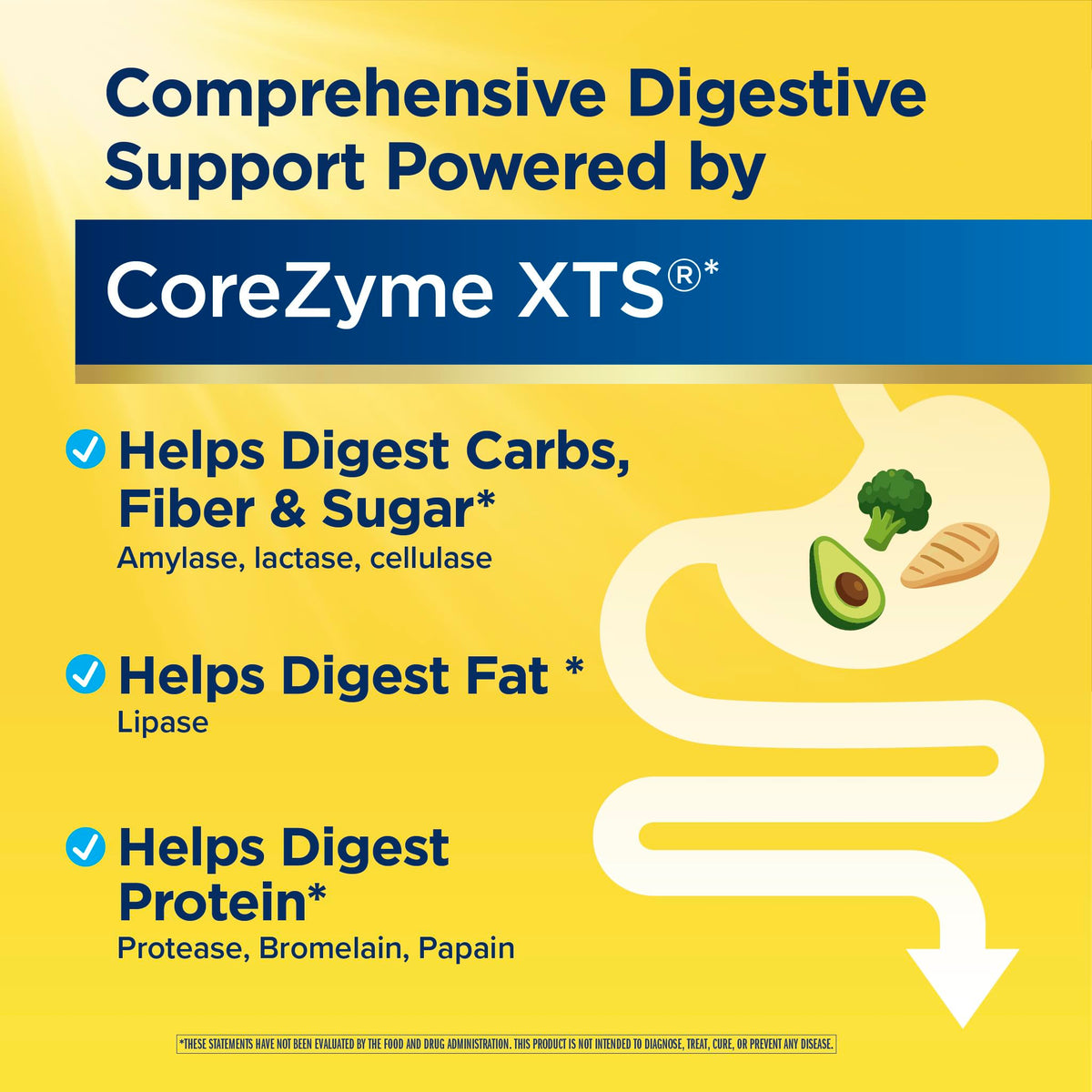 Capsules Renew Life dans une main
