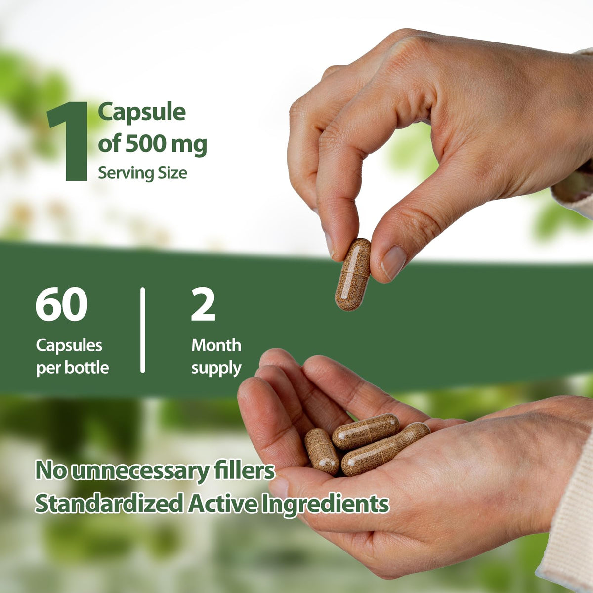 Capsules Rhodiola Rosea NOQONME, prise en main