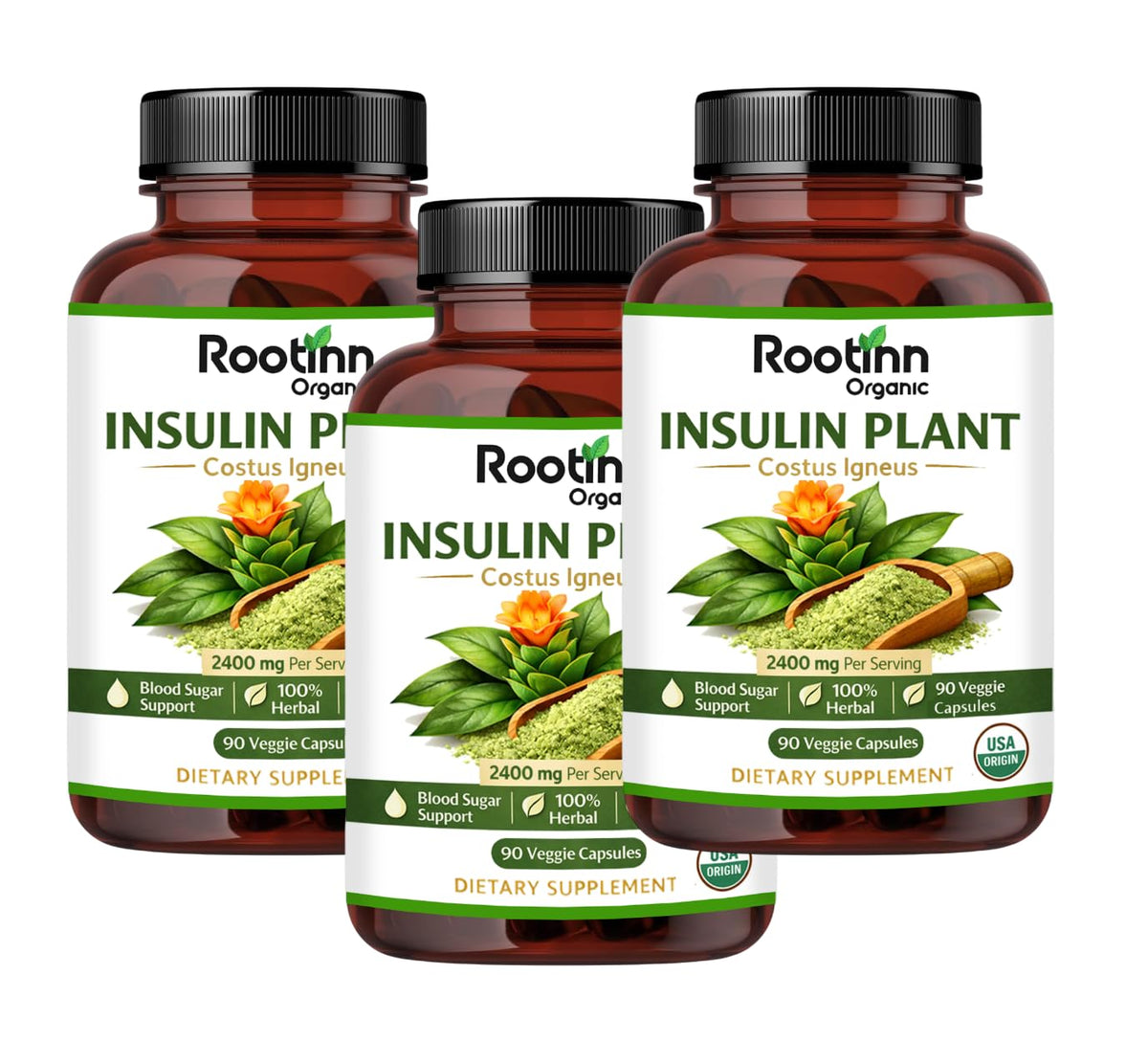 Capsules Rootinn Organic de plante insuline en pot, 270 capsules