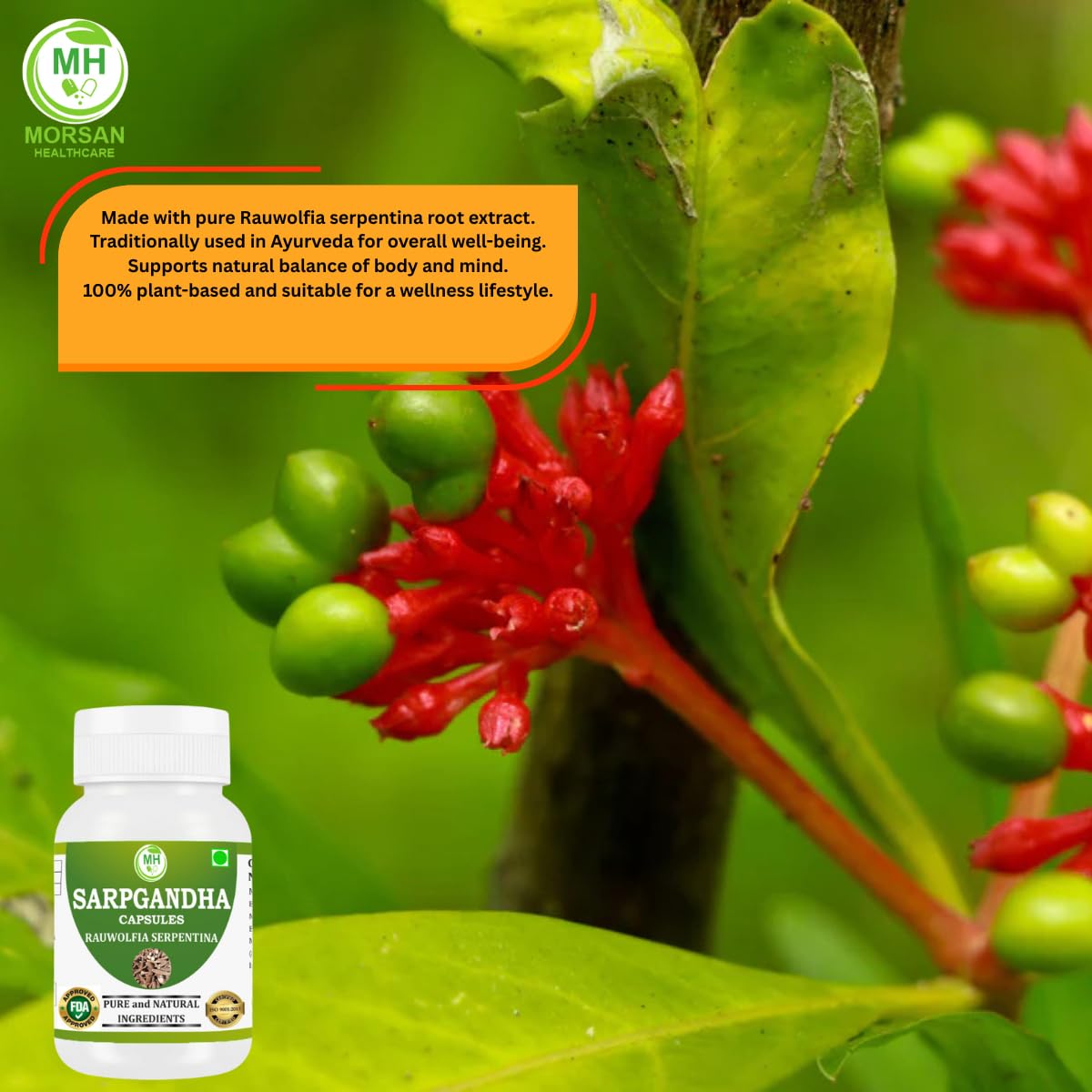 Capsules Sarpgandha 500 mg dans un environnement naturel
